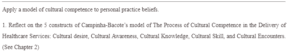 Applying a Model of Cultural Competence to Personal Practice Beliefs