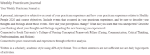 Weekly Practicum Journal