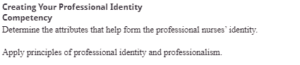 Creating Your Professional Identity