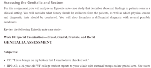 Assessing the Genitalia and Rectum