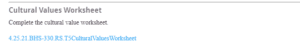 Cultural Values Worksheet