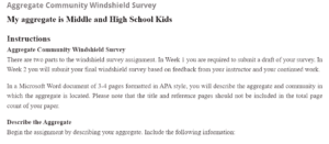 Aggregate Community Windshield Survey