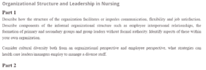 Organizational Structure and Leadership in Nursing